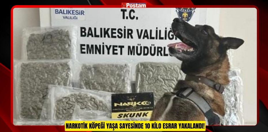 NARKOTİK KÖPEĞİ YAŞA SAYESİNDE 10 KİLO ESRAR YAKALANDI!