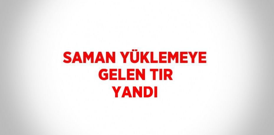 SAMAN YÜKLEMEYE GELEN TIR YANDI