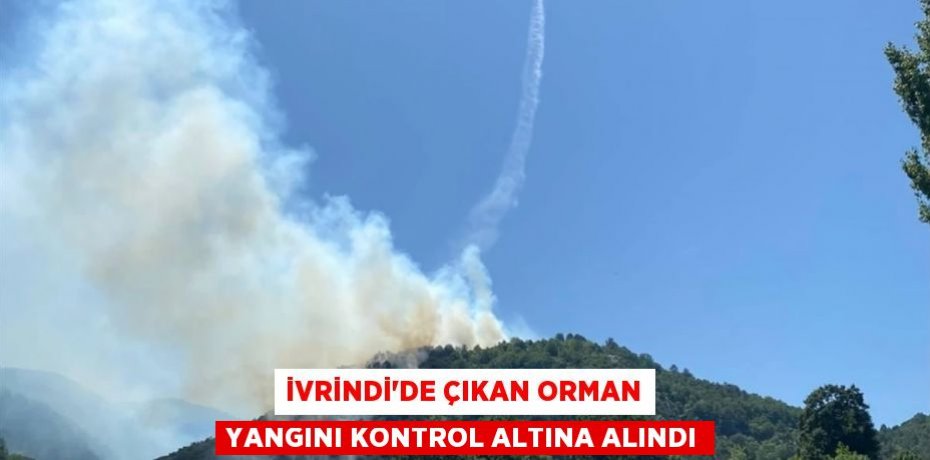 İvrindi'de çıkan orman yangını kontrol altına alındı