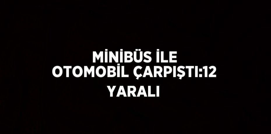 MİNİBÜS İLE OTOMOBİL ÇARPIŞTI:12 YARALI