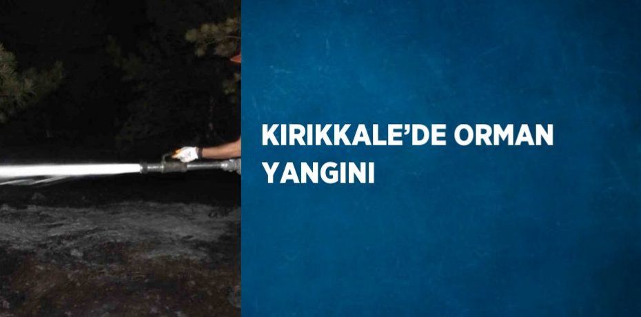 KIRIKKALE’DE ORMAN YANGINI