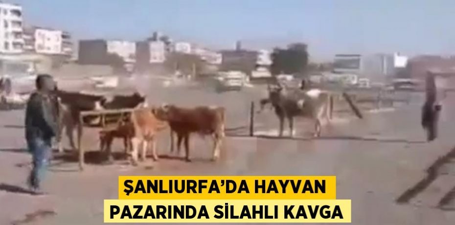 ŞANLIURFA’DA HAYVAN PAZARINDA SİLAHLI KAVGA