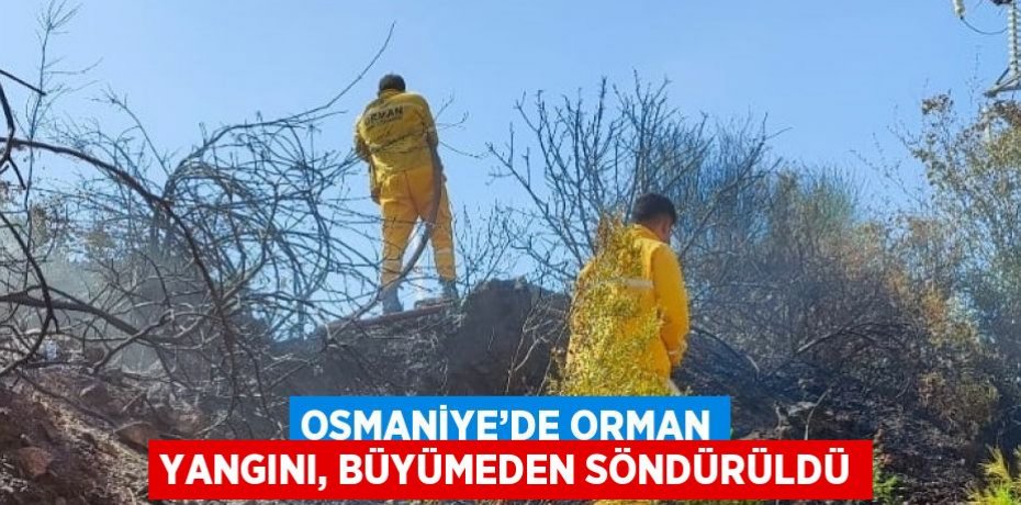 OSMANİYE’DE ORMAN YANGINI, BÜYÜMEDEN SÖNDÜRÜLDÜ