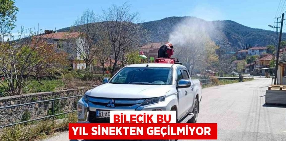BİLECİK BU YIL SİNEKTEN GEÇİLMİYOR