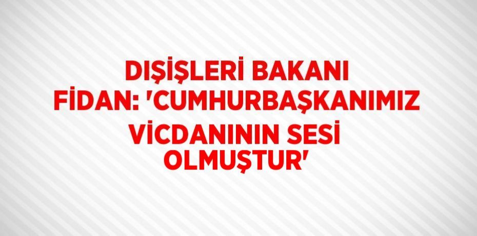 DIŞİŞLERİ BAKANI FİDAN: 'CUMHURBAŞKANIMIZ VİCDANININ SESİ OLMUŞTUR'