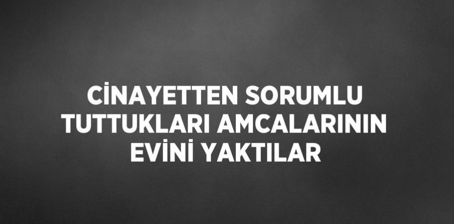 CİNAYETTEN SORUMLU TUTTUKLARI AMCALARININ EVİNİ YAKTILAR