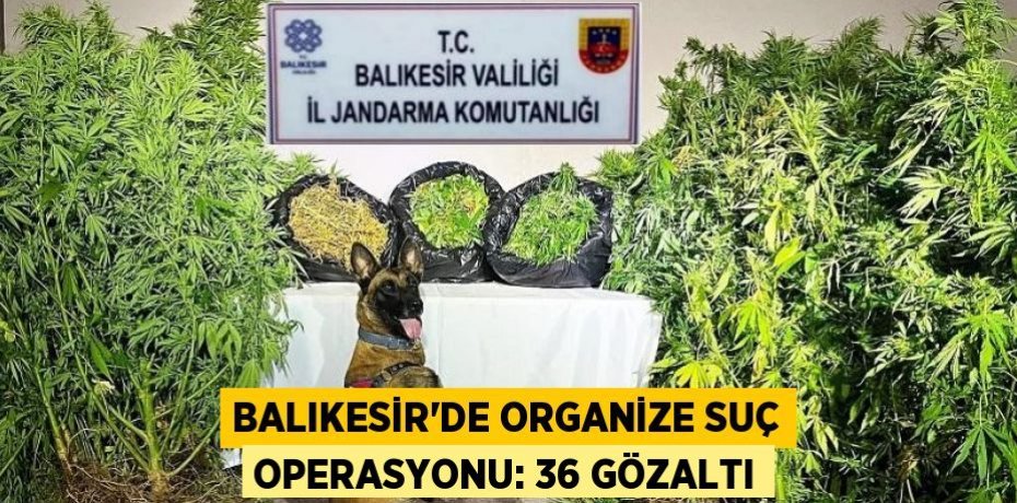 Balıkesir'de organize suç operasyonu: 36 gözaltı