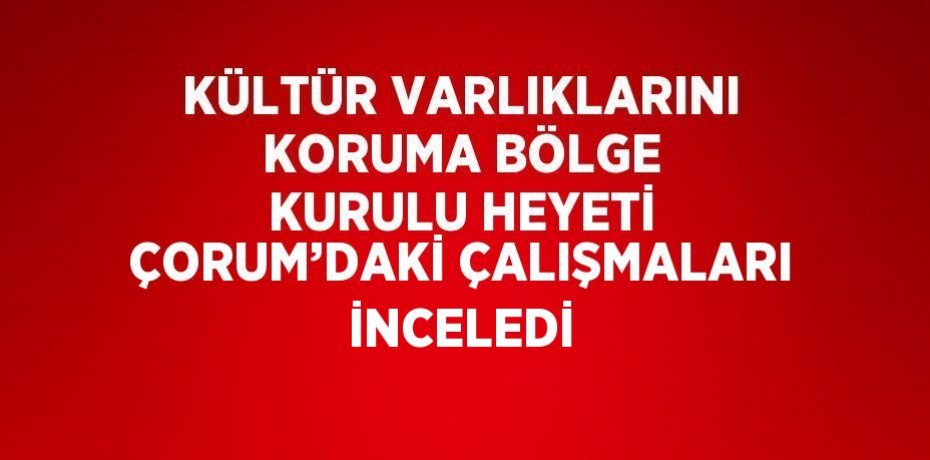 KÜLTÜR VARLIKLARINI KORUMA BÖLGE KURULU HEYETİ ÇORUM’DAKİ ÇALIŞMALARI İNCELEDİ