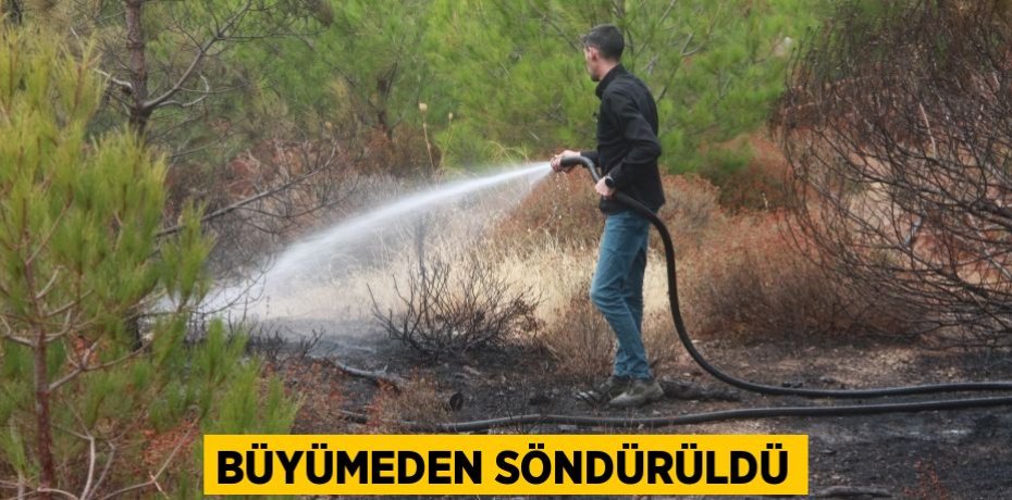 BÜYÜMEDEN SÖNDÜRÜLDÜ