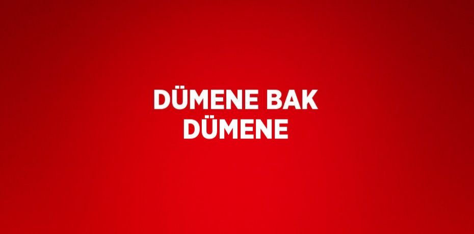 DÜMENE BAK DÜMENE