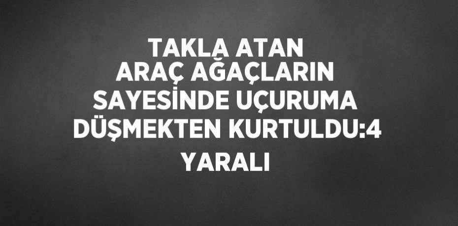 TAKLA ATAN ARAÇ AĞAÇLARIN SAYESİNDE UÇURUMA DÜŞMEKTEN KURTULDU:4 YARALI