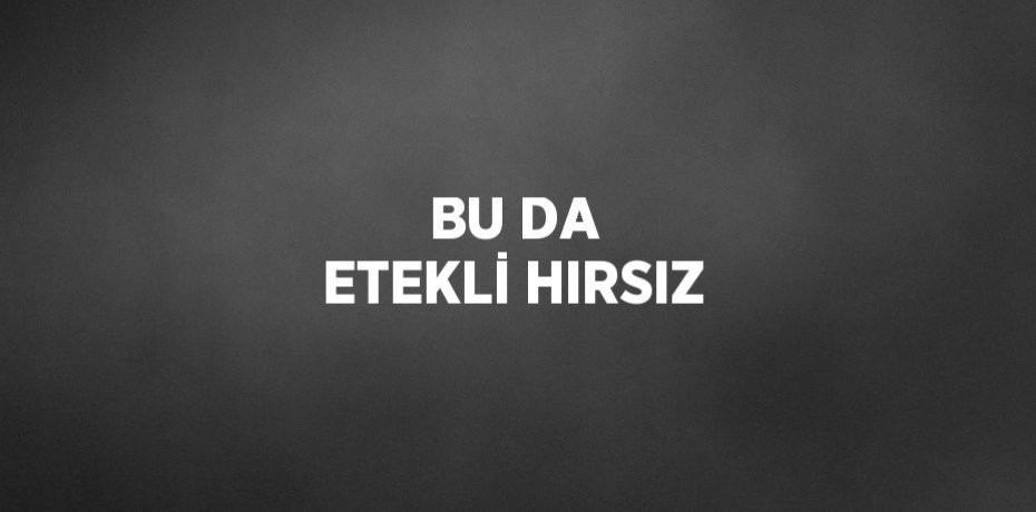 BU DA ETEKLİ HIRSIZ