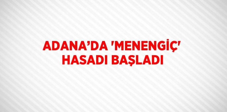 ADANA’DA 'MENENGİÇ' HASADI BAŞLADI