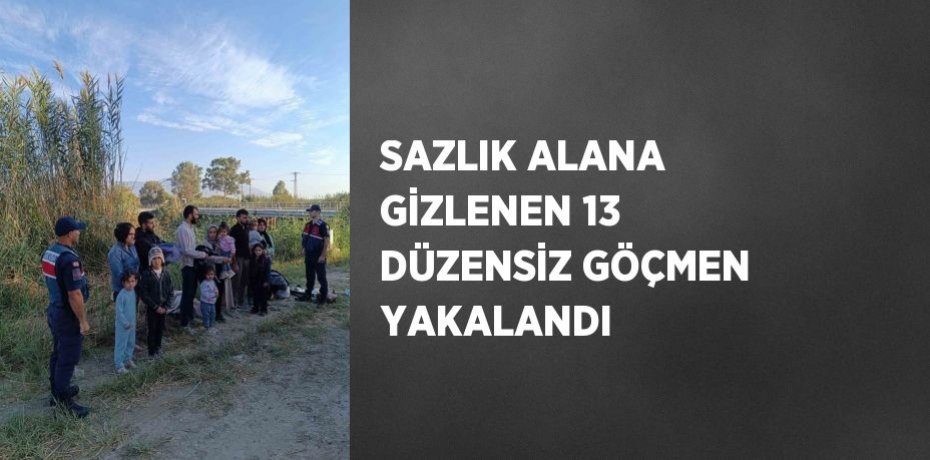 SAZLIK ALANA GİZLENEN 13 DÜZENSİZ GÖÇMEN YAKALANDI