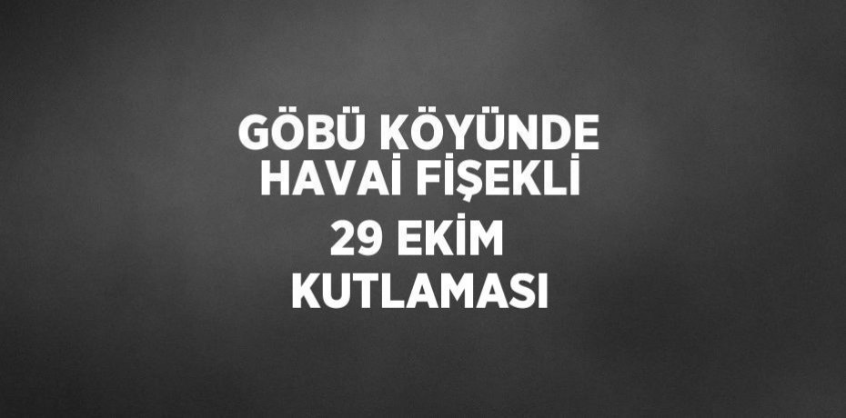GÖBÜ KÖYÜNDE HAVAİ FİŞEKLİ 29 EKİM KUTLAMASI