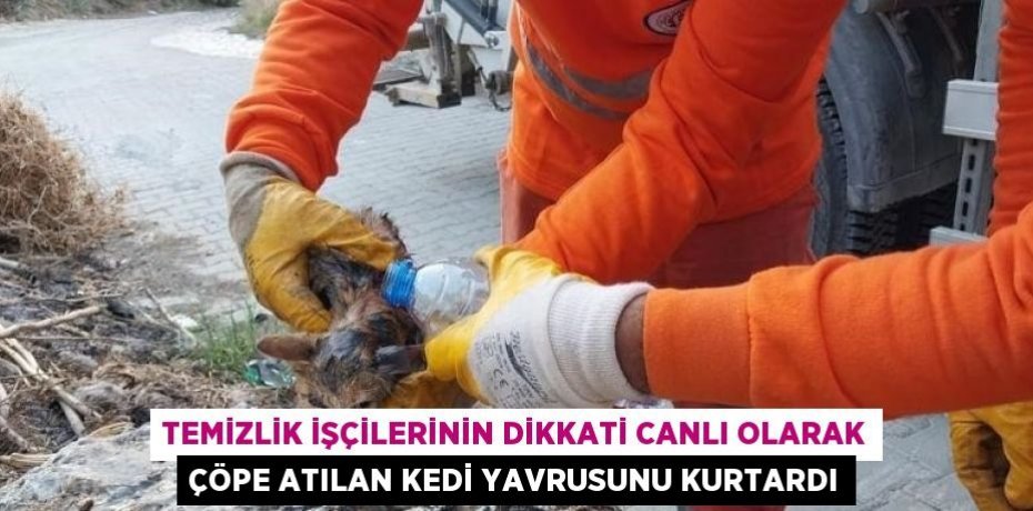 TEMİZLİK İŞÇİLERİNİN DİKKATİ CANLI OLARAK ÇÖPE ATILAN KEDİ YAVRUSUNU KURTARDI