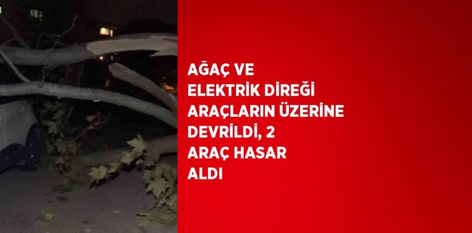 AĞAÇ VE ELEKTRİK DİREĞİ ARAÇLARIN ÜZERİNE DEVRİLDİ, 2 ARAÇ HASAR ALDI