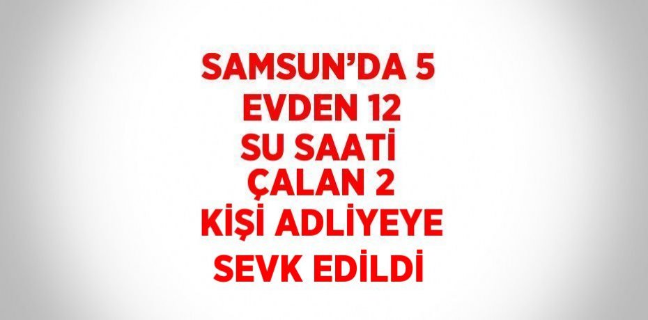 SAMSUN’DA 5 EVDEN 12 SU SAATİ ÇALAN 2 KİŞİ ADLİYEYE SEVK EDİLDİ