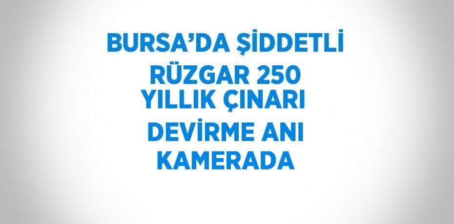 BURSA’DA ŞİDDETLİ RÜZGAR 250 YILLIK ÇINARI DEVİRME ANI KAMERADA