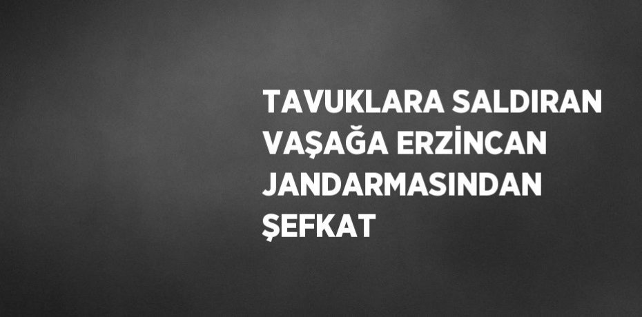 TAVUKLARA SALDIRAN VAŞAĞA ERZİNCAN JANDARMASINDAN ŞEFKAT