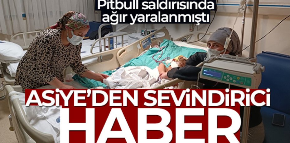 Asiye, servise alındı