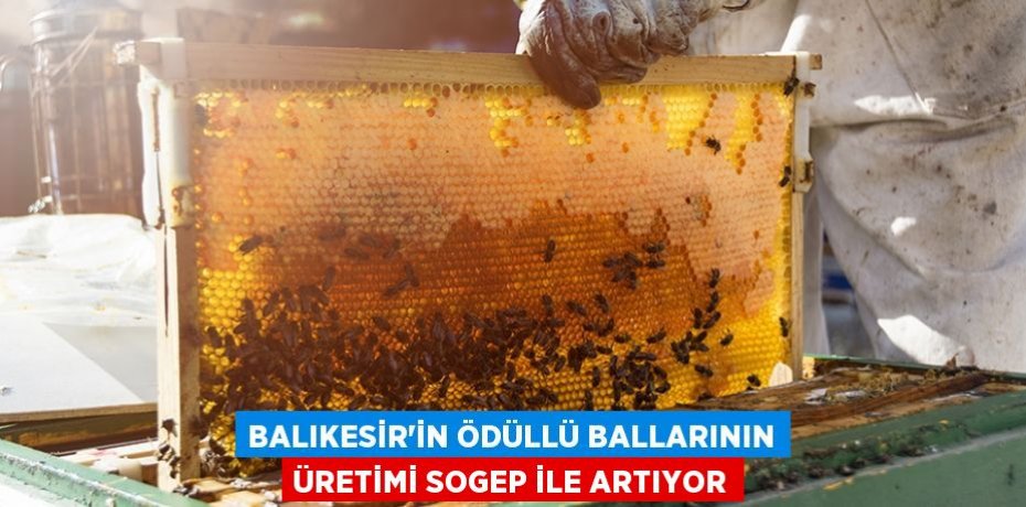 Balıkesir’in Ödüllü Ballarının Üretimi SOGEP İle Artıyor