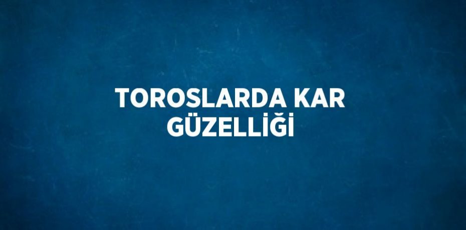 TOROSLARDA KAR GÜZELLİĞİ