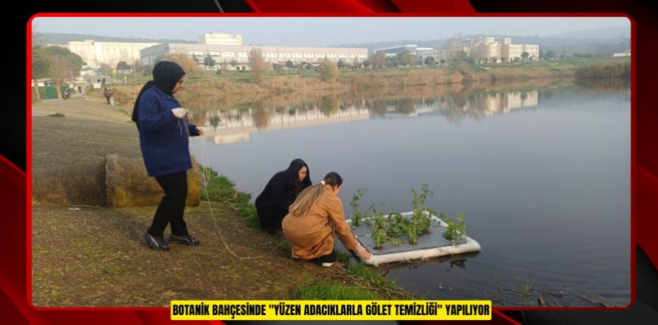 Botanik Bahçesinde "Yüzen Adacıklarla Gölet Temizliği" yapılıyor
