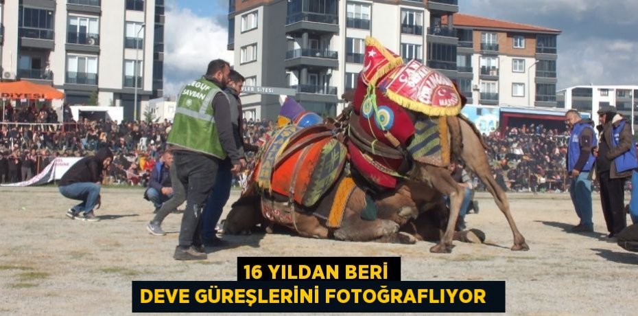 16 yıldan beri deve güreşlerini fotoğraflıyor  