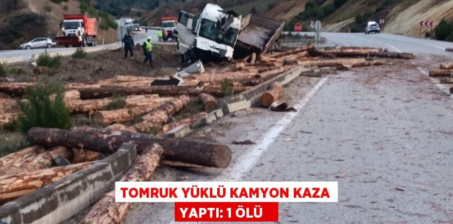Tomruk yüklü kamyon kaza yaptı: 1 ölü  