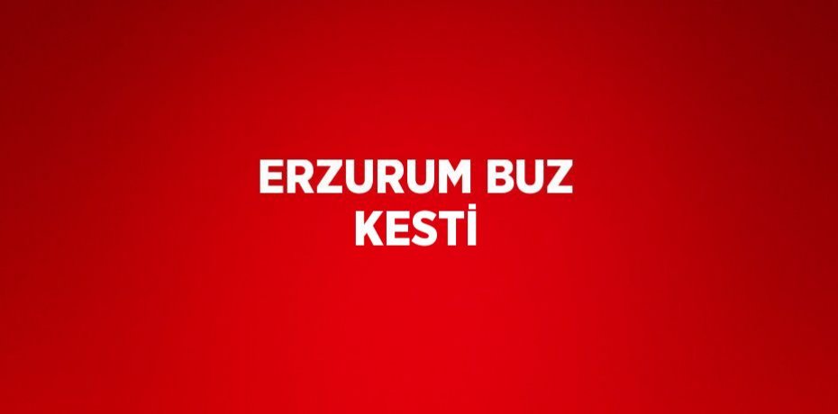 ERZURUM BUZ KESTİ