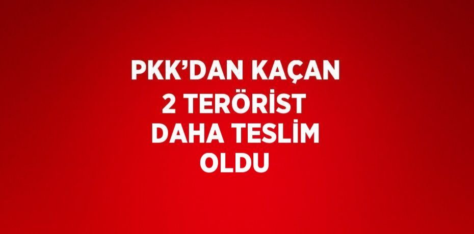 PKK’DAN KAÇAN 2 TERÖRİST DAHA TESLİM OLDU