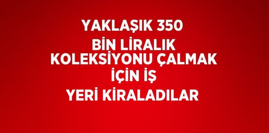 YAKLAŞIK 350 BİN LİRALIK KOLEKSİYONU ÇALMAK İÇİN İŞ YERİ KİRALADILAR