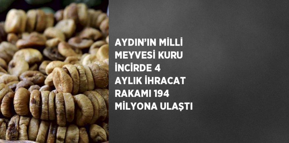 AYDIN’IN MİLLİ MEYVESİ KURU İNCİRDE 4 AYLIK İHRACAT RAKAMI 194 MİLYONA ULAŞTI