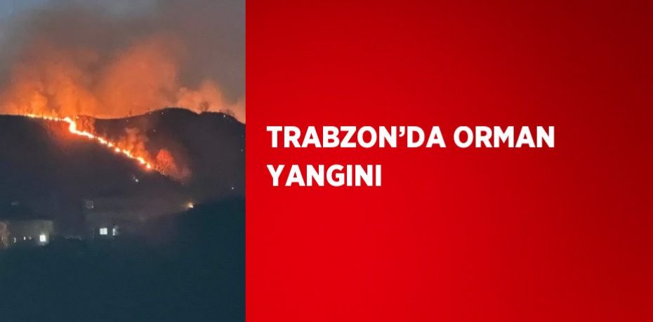 TRABZON’DA ORMAN YANGINI