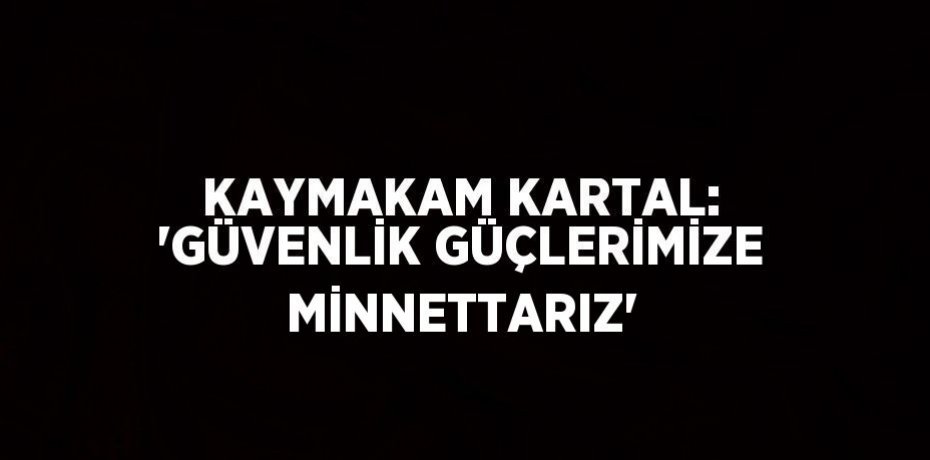 KAYMAKAM KARTAL: 'GÜVENLİK GÜÇLERİMİZE MİNNETTARIZ'