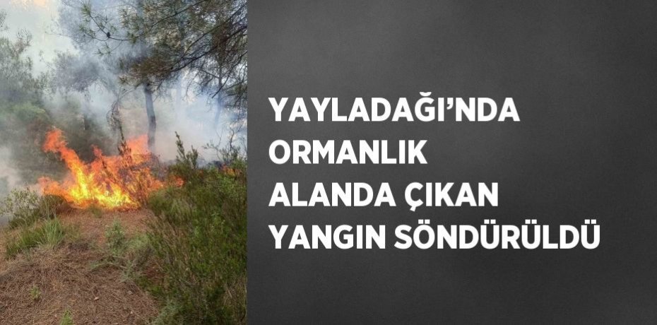 YAYLADAĞI’NDA ORMANLIK ALANDA ÇIKAN YANGIN SÖNDÜRÜLDÜ