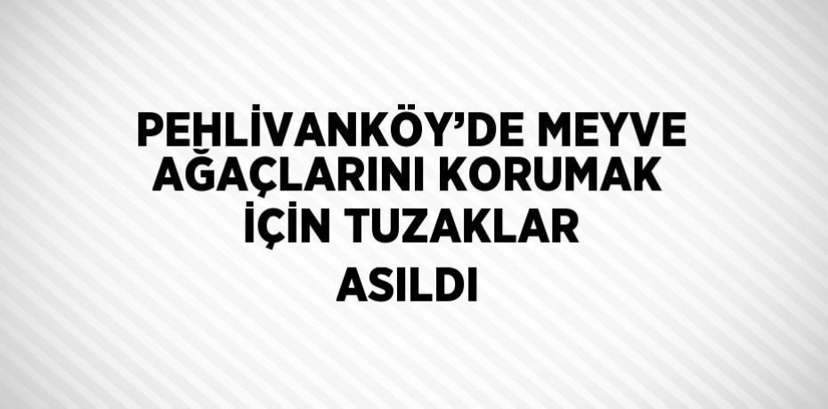 PEHLİVANKÖY’DE MEYVE AĞAÇLARINI KORUMAK İÇİN TUZAKLAR ASILDI
