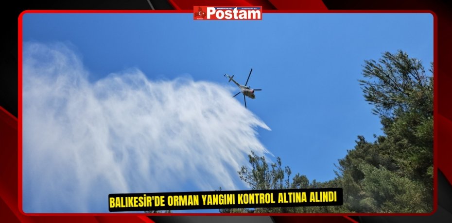 Balıkesir'de orman yangını kontrol altına alındı  