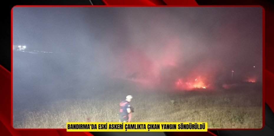 Bandırma'da eski askeri çamlıkta çıkan yangın söndürüldü  