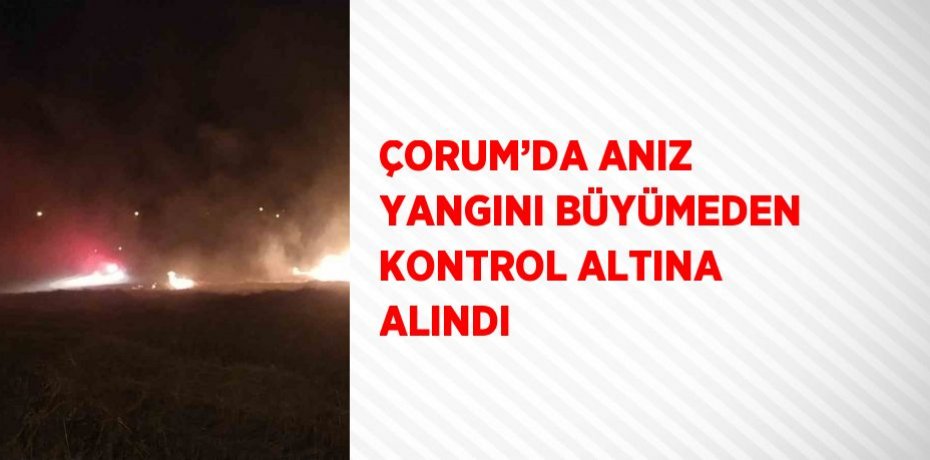 ÇORUM’DA ANIZ YANGINI BÜYÜMEDEN KONTROL ALTINA ALINDI