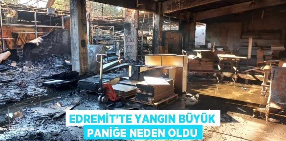 Edremit'te yangın büyük paniğe neden oldu