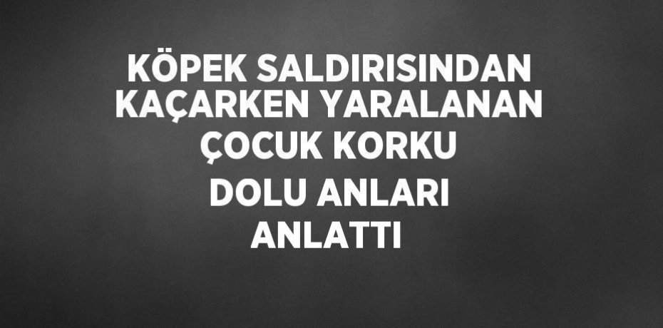 KÖPEK SALDIRISINDAN KAÇARKEN YARALANAN ÇOCUK KORKU DOLU ANLARI ANLATTI