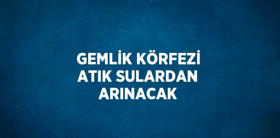 GEMLİK KÖRFEZİ ATIK SULARDAN ARINACAK
