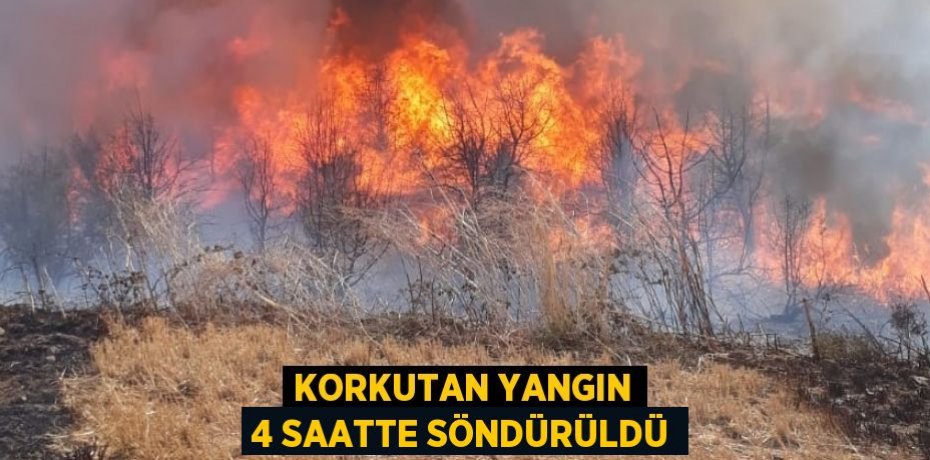 Korkutan yangın 4 saatte söndürüldü