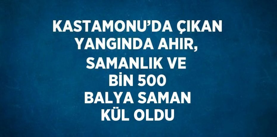 KASTAMONU’DA ÇIKAN YANGINDA AHIR, SAMANLIK VE BİN 500 BALYA SAMAN KÜL OLDU