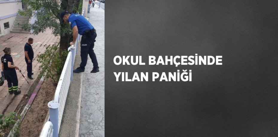 OKUL BAHÇESİNDE YILAN PANİĞİ