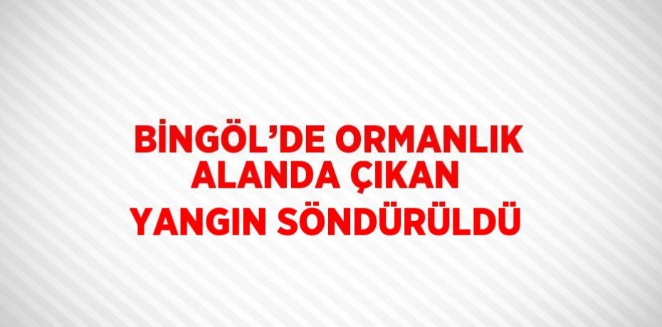 BİNGÖL’DE ORMANLIK ALANDA ÇIKAN YANGIN SÖNDÜRÜLDÜ