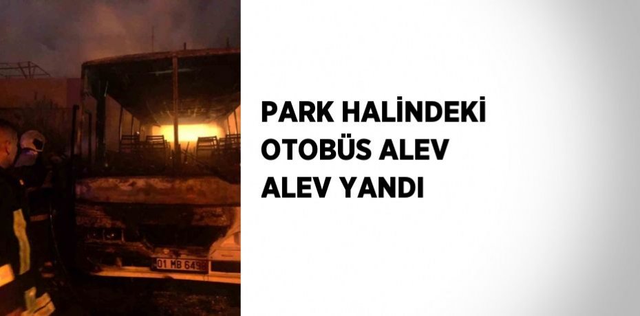 PARK HALİNDEKİ OTOBÜS ALEV ALEV YANDI