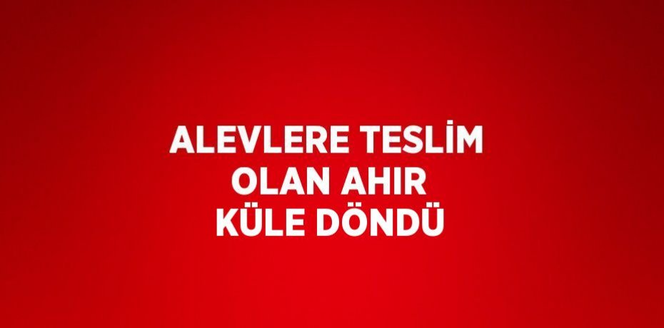 ALEVLERE TESLİM OLAN AHIR KÜLE DÖNDÜ